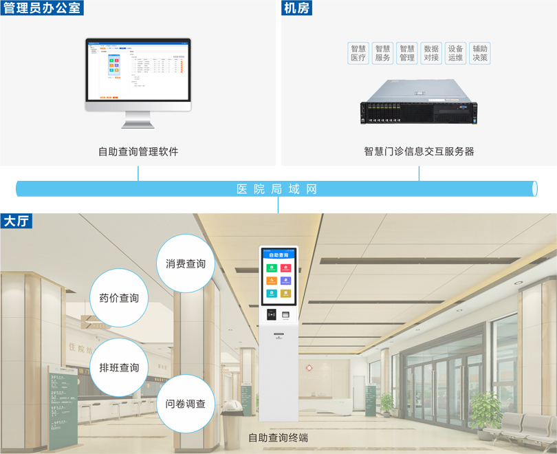 星空真人自助查询系统连线图